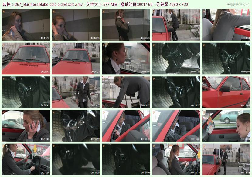 p-257_Business Babe cold old Escort